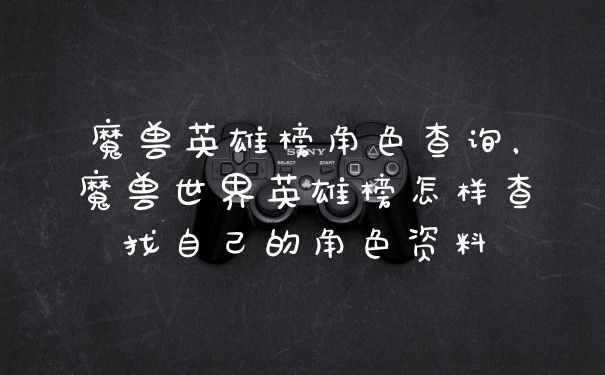 魔兽英雄榜角色查询，魔兽世界英雄榜怎样查找自己的角色资料