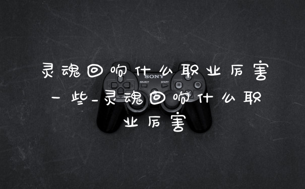 灵魂回响什么职业厉害一些_灵魂回响什么职业厉害