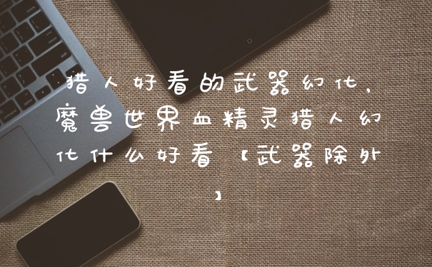 猎人好看的武器幻化，魔兽世界血精灵猎人幻化什么好看【武器除外】