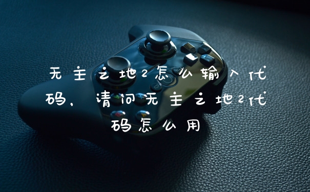 无主之地2怎么输入代码，请问无主之地2代码怎么用