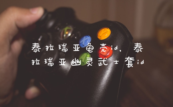 泰拉瑞亚龟壳id，泰拉瑞亚幽灵武士套id