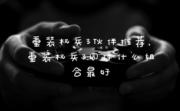 重装机兵3伙伴推荐,重装机兵3同伴什么组合最好