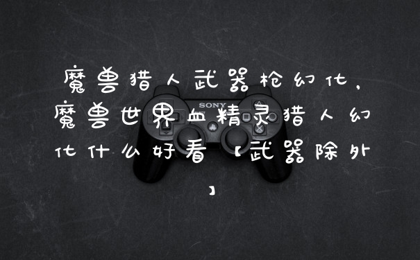 魔兽猎人武器枪幻化,魔兽世界血精灵猎人幻化什么好看【武器除外】
