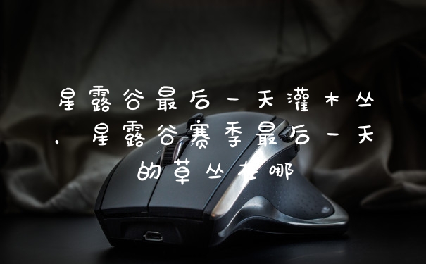 星露谷最后一天灌木丛,星露谷赛季最后一天的草丛在哪