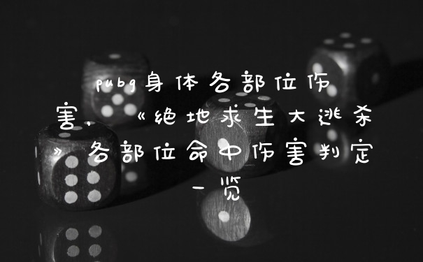pubg身体各部位伤害,《绝地求生大逃杀》各部位命中伤害判定一览