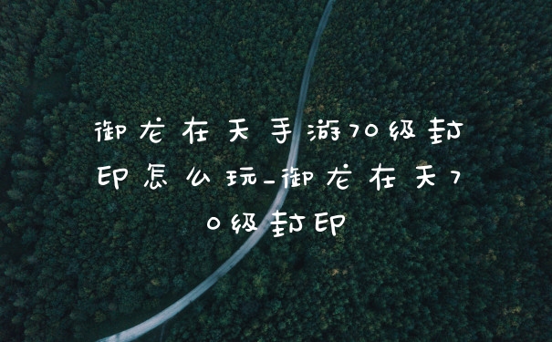 御龙在天手游70级封印怎么玩_御龙在天70级封印