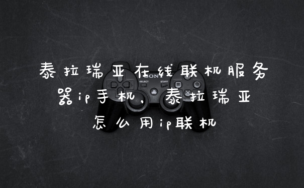 泰拉瑞亚在线联机服务器ip手机,泰拉瑞亚怎么用ip联机