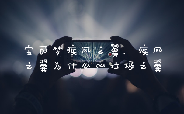 宝可梦疾风之翼,疾风之翼为什么叫垃圾之翼