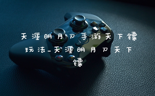 天涯明月刀手游天下镖玩法_天涯明月刀天下镖