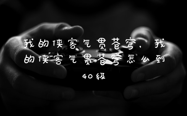 我的侠客气贯苍穹,我的侠客气贯苍穹怎么到40级