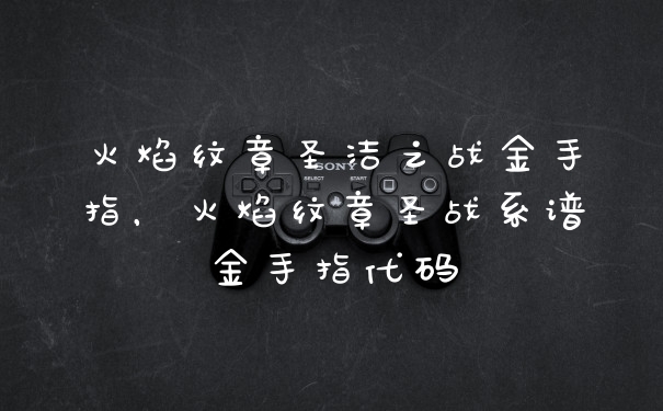 火焰纹章圣洁之战金手指，火焰纹章圣战系谱金手指代码