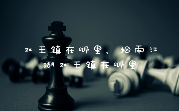 双王镇在哪里，烟雨江湖双王镇在哪里