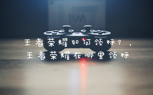 王者荣耀如何领标?,王者荣耀在哪里领标