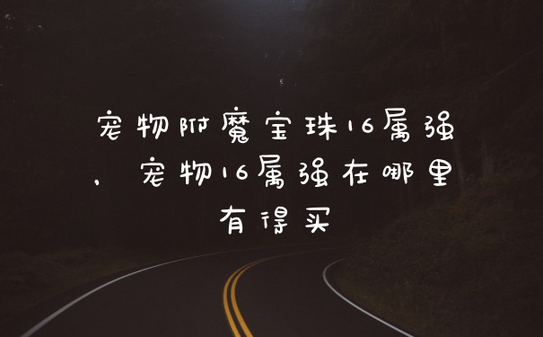 宠物附魔宝珠16属强，宠物16属强在哪里有得买