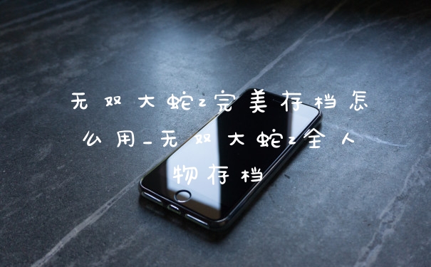无双大蛇z完美存档怎么用_无双大蛇z全人物存档