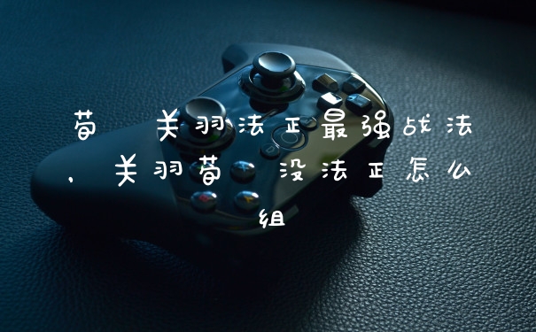 荀彧关羽法正最强战法,关羽荀彧没法正怎么组