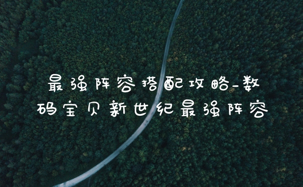 最强阵容搭配攻略_数码宝贝新世纪最强阵容