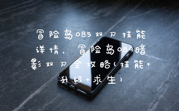 冒险岛085双刀技能详情，冒险岛089暗影双刀全攻略(技能+升级+求生)