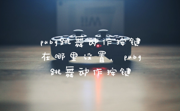 pubg跳舞动作按键在哪里设置,pubg跳舞动作按键