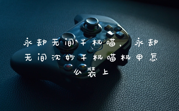 永劫无间千机喵，永劫无间沈妙千机喵机甲怎么装上