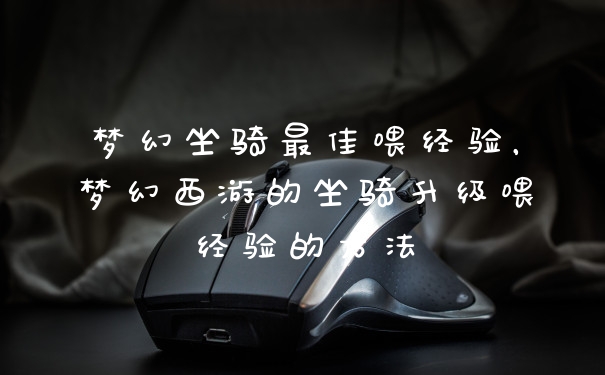 梦幻坐骑最佳喂经验,梦幻西游的坐骑升级喂经验的方法