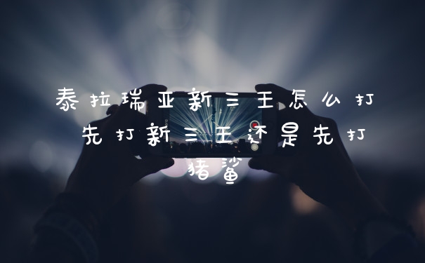 泰拉瑞亚新三王怎么打 先打新三王还是先打猪鲨