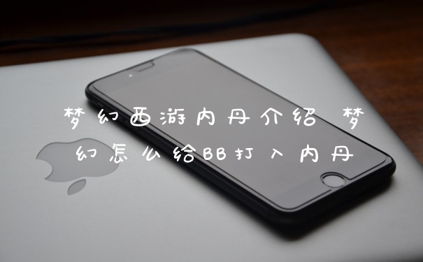 梦幻西游内丹介绍 梦幻怎么给BB打入内丹