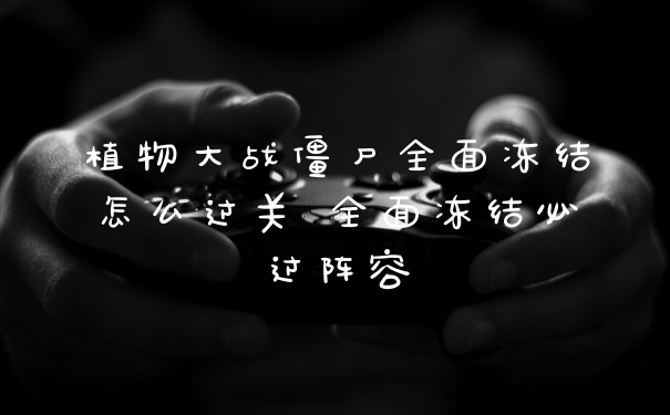 植物大战僵尸全面冻结怎么过关 全面冻结必过阵容