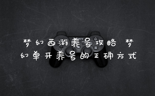 梦幻西游养号攻略 梦幻单开养号的正确方式
