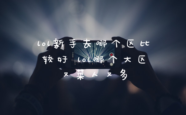lol新手去哪个区比较好 lol哪个大区又菜人又多